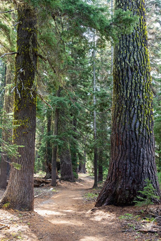 Castle Crest Trail