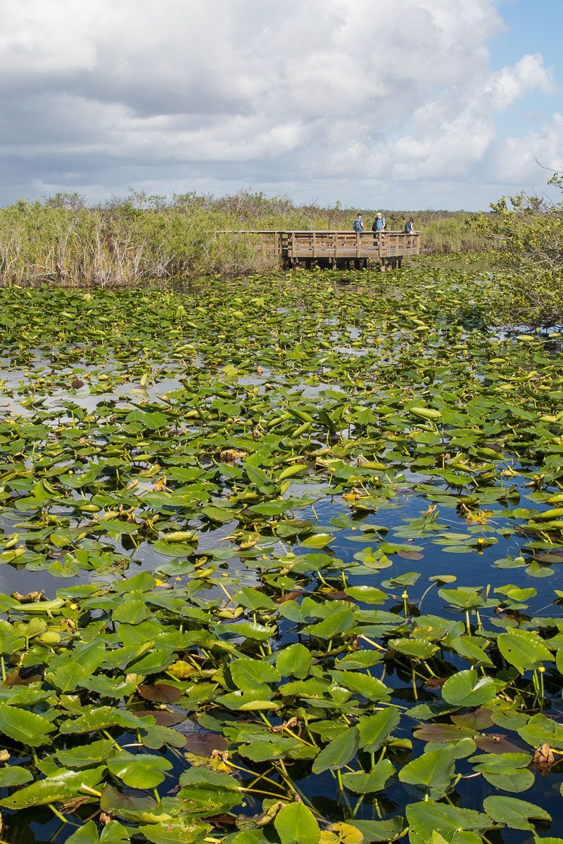 Everglades National Park