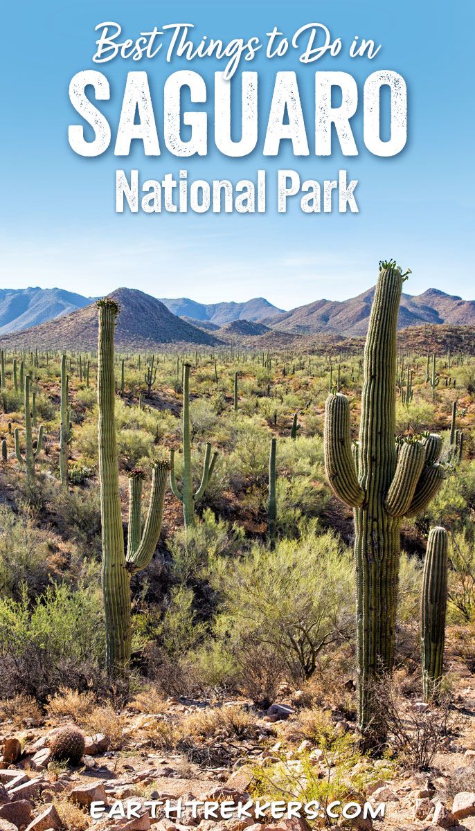 Best things to do in Saguaro National Park, Arizona: top hikes, scenic drives, plus important travel planning information.