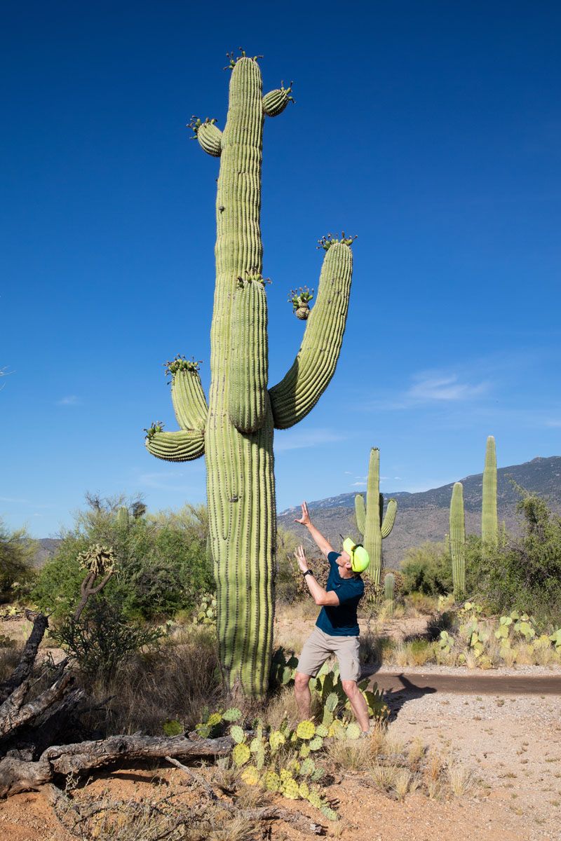 Tim with Saguaro Cactus